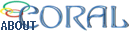 Distributed Caching Solution